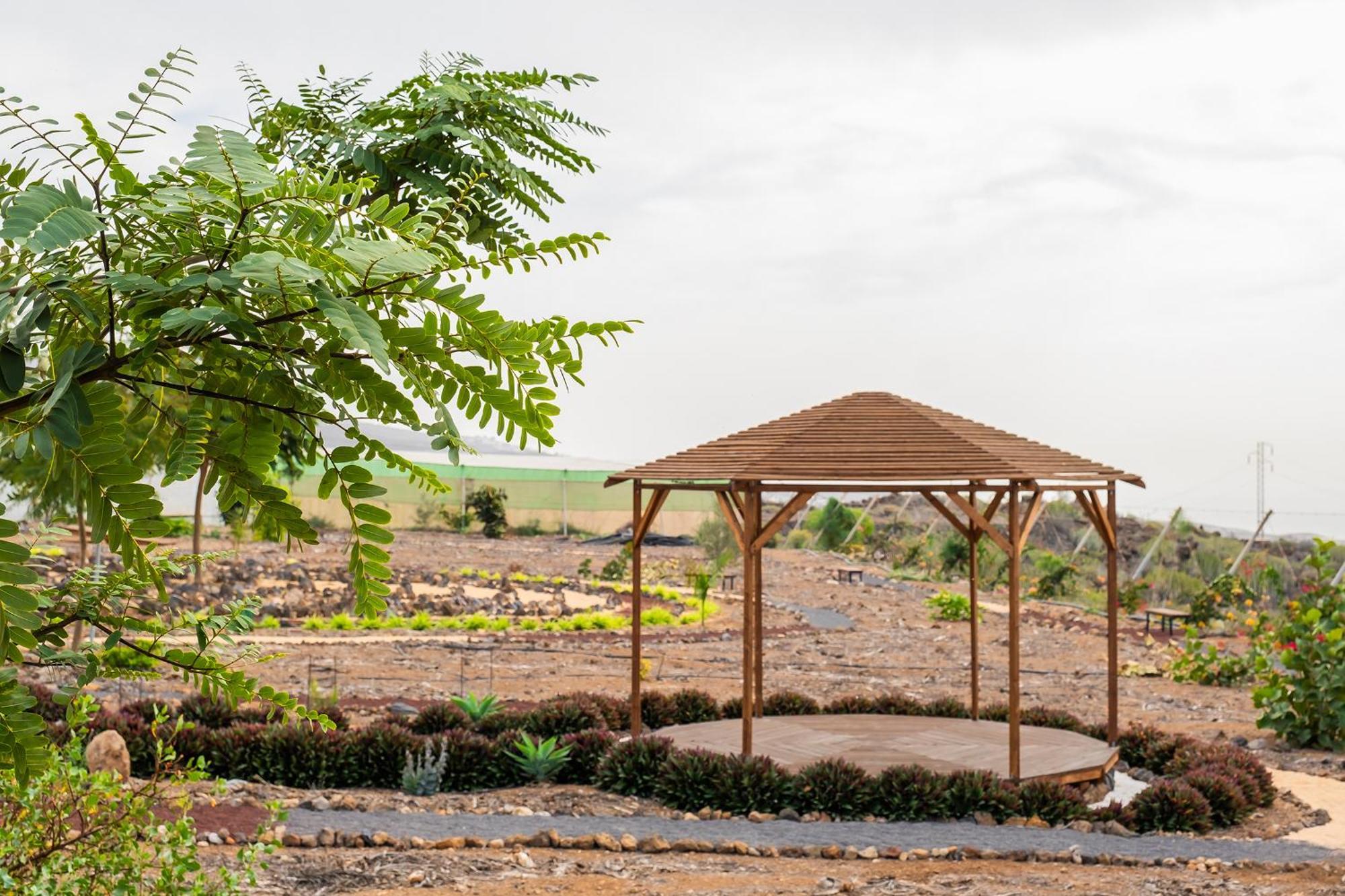 Tenerife Healing Garden Ґія-де-Ісора Екстер'єр фото