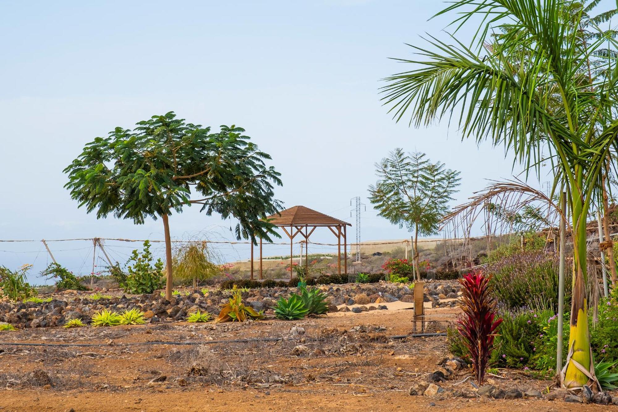 Tenerife Healing Garden Ґія-де-Ісора Екстер'єр фото